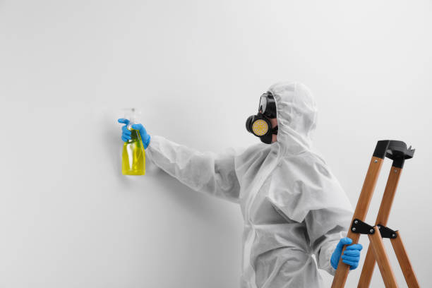 Mold Documentation for Insurance Claims in Hodgkins, IL